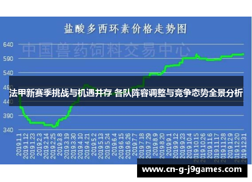 法甲新赛季挑战与机遇并存 各队阵容调整与竞争态势全景分析 法甲新赛季挑战与机遇并存 各队阵容调整与竞争态势全景分析