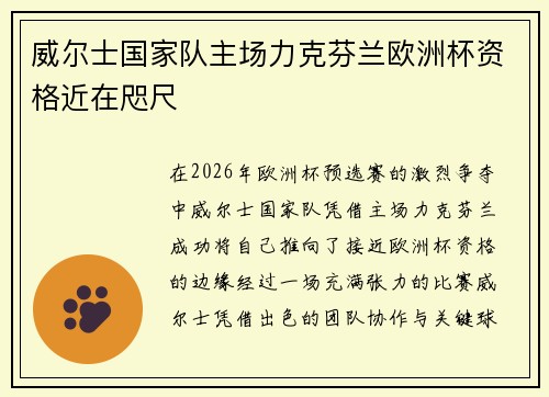威尔士国家队主场力克芬兰欧洲杯资格近在咫尺 威尔士国家队主场力克芬兰欧洲杯资格近在咫尺